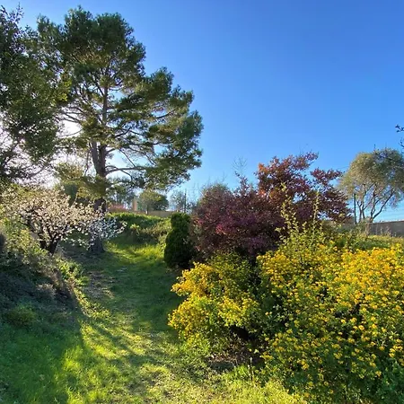 Domaine Maxxim Πανσιόν *