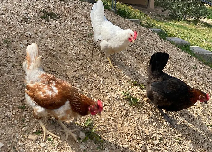 Domaine Maxxim Clermont-lʼHérault